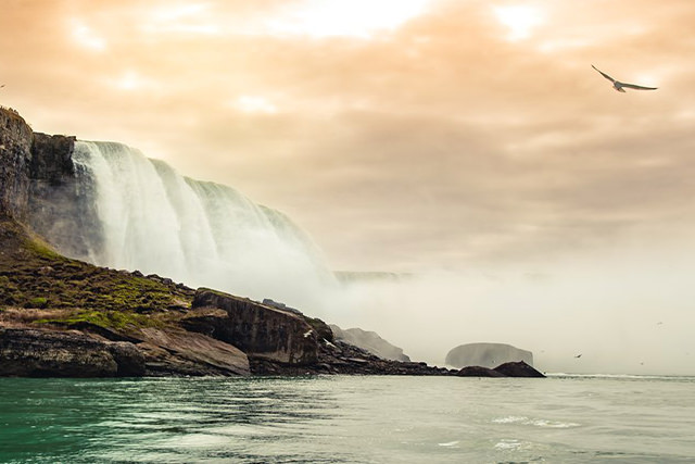 Water crashing over Niagara Fall as the sky is lit orange and a lone bird soars in the sky