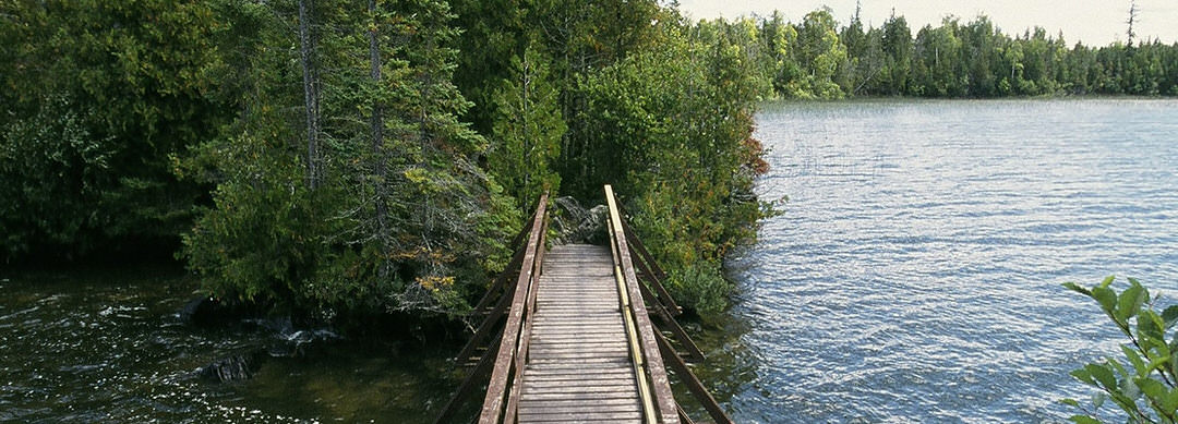 Un pont de marche en bois juste au-dessus de l'eau se dirigeant vers les arbres