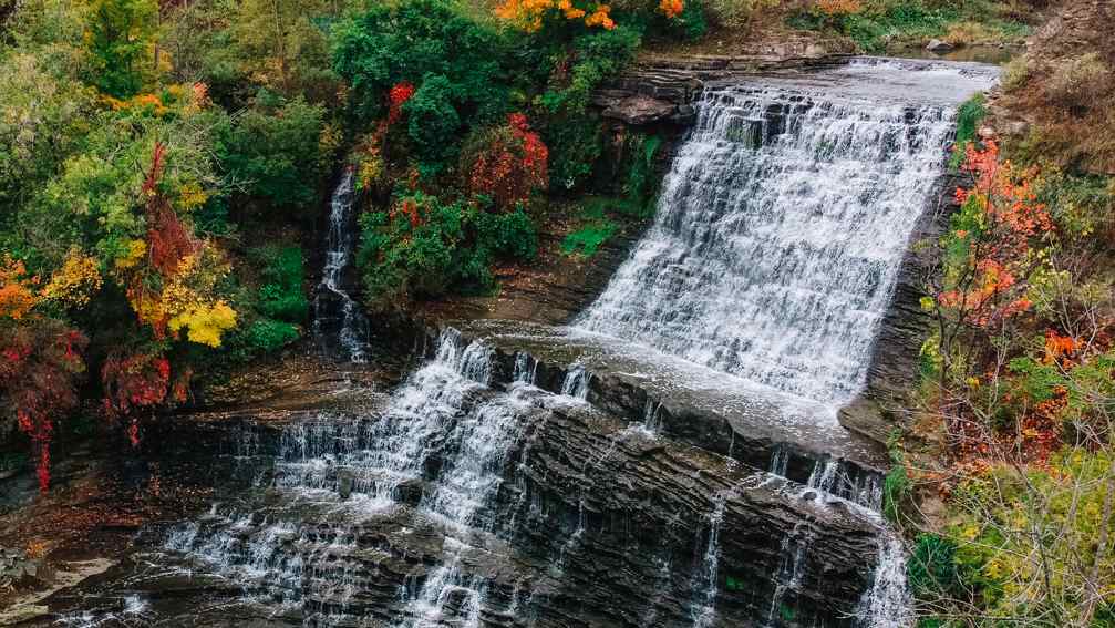 Une cascade au milieu d'une forêt