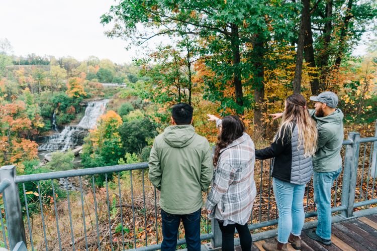 A group of people looking at a waterfall from a viewing platform.