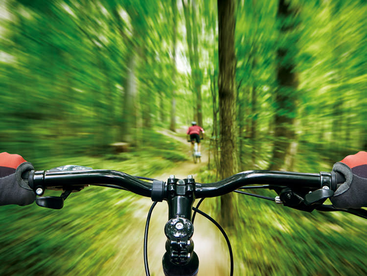 Nahaufnahme von zwei Händen am Fahrradlenker, die durch einen Waldweg rasen