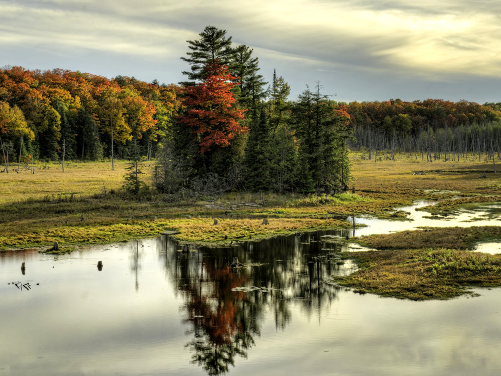 Fall colours and lakes at Algonquin Park.