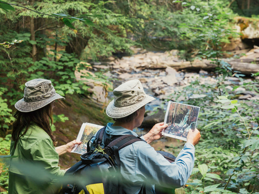 A man and woman compare Group of Seven artwork with the landscape 