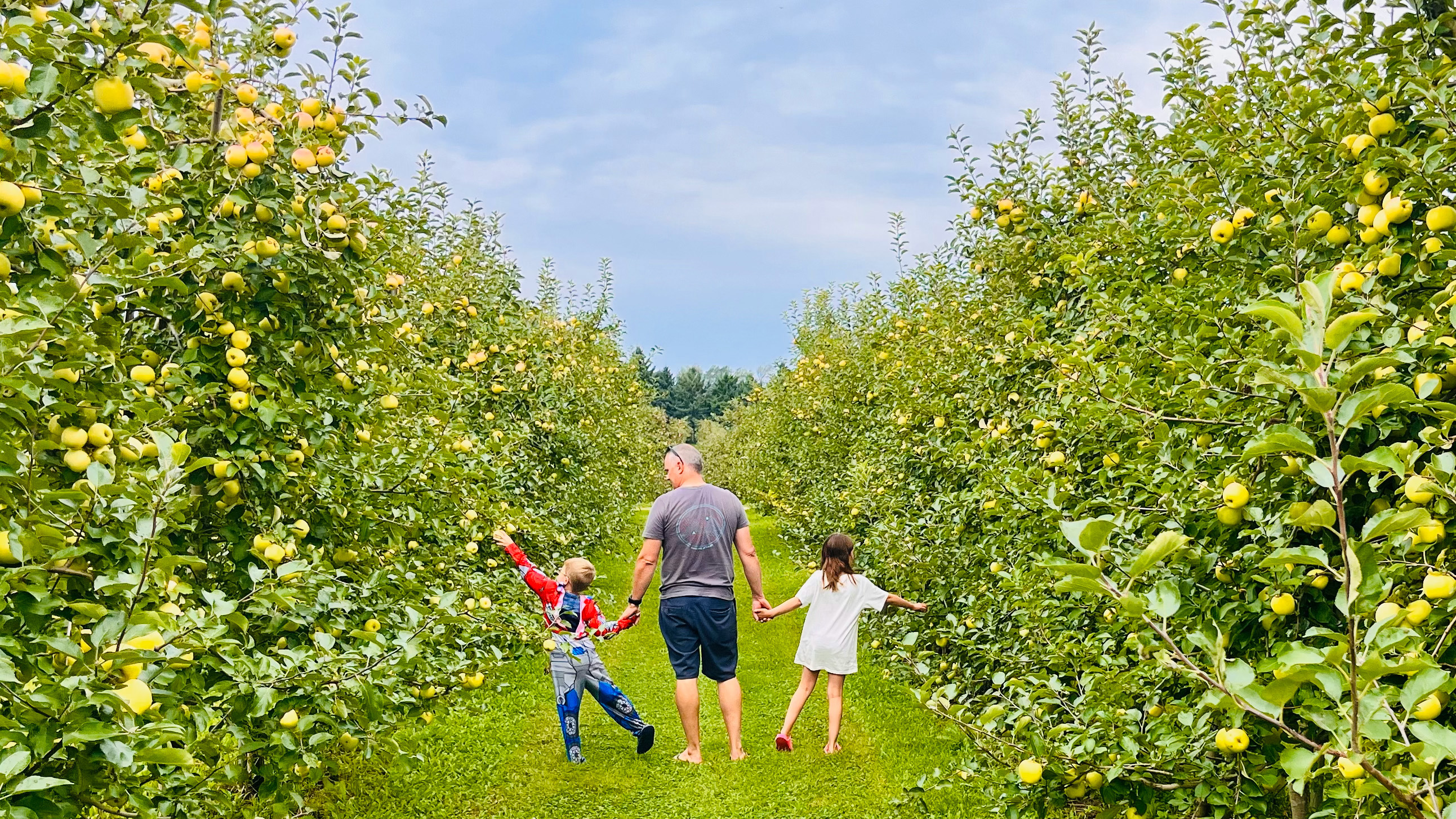 un homme cueillant des pommes avec ses enfants