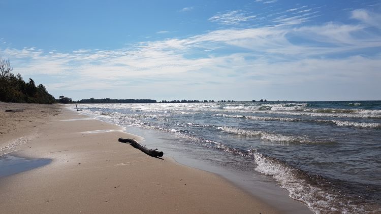 Plage sablonneuse et billot sur le littoral.