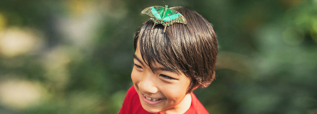  A boy with a smile on his face because a butterfly has landed on his head