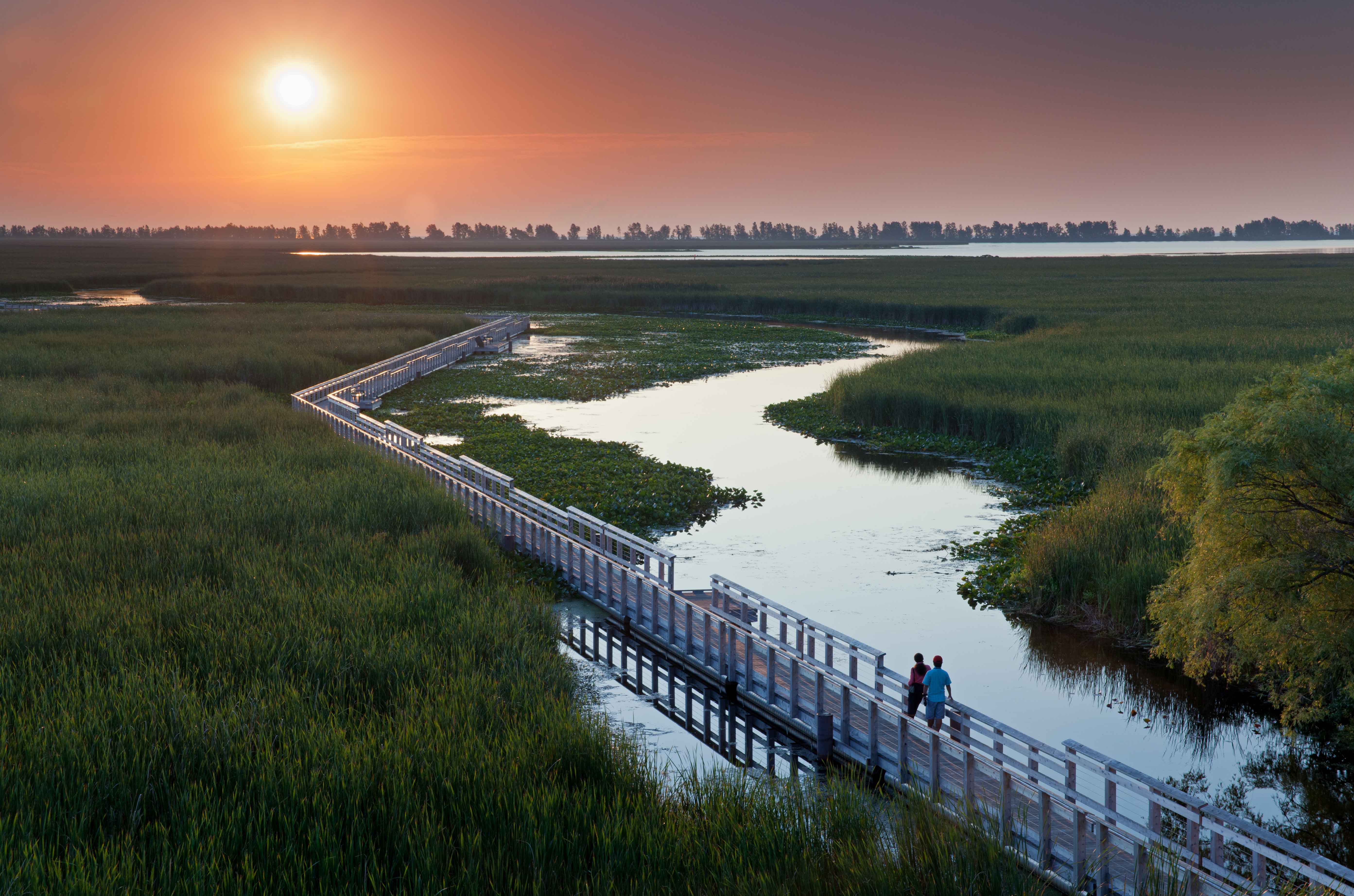 Two people walking on a boardwalk over a marsh as the sun sets