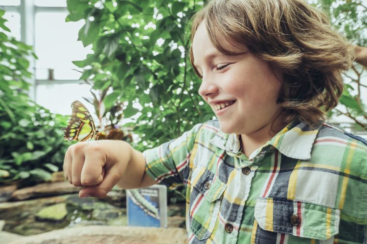 A child smiles at a butterfly resting on his hand.