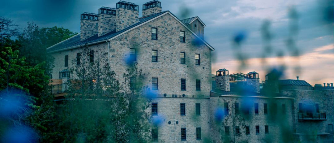 Peaking through wild flowers is a multilevel stone building, many windows and a terrace off to the right side