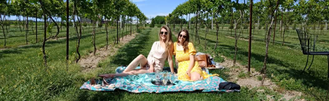 Un couple pique-nique au milieu d'un vignoble.