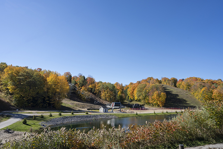 A pond with hills and fall-coloured leaves in the background at Horseshoe Resort.