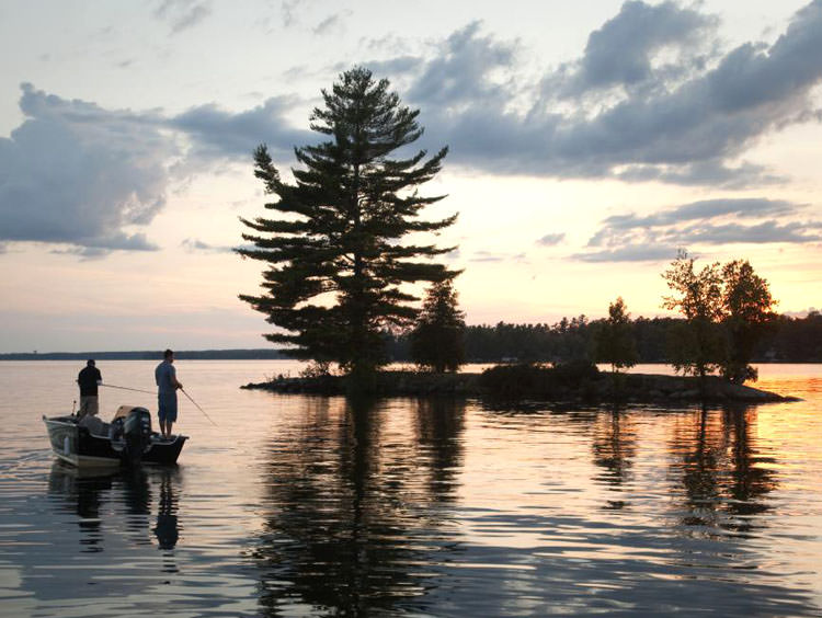 Two people standing in a boat fishing in a lake with a large pine tree in their view