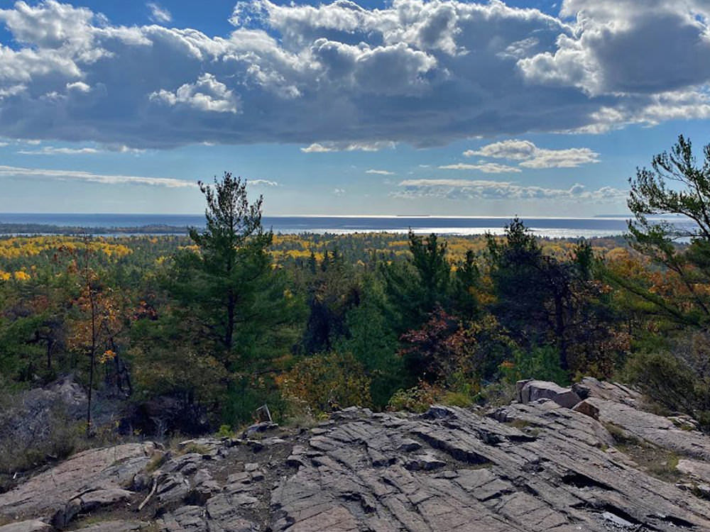 Belle vue sur la forêt depuis un belvédère rocheux