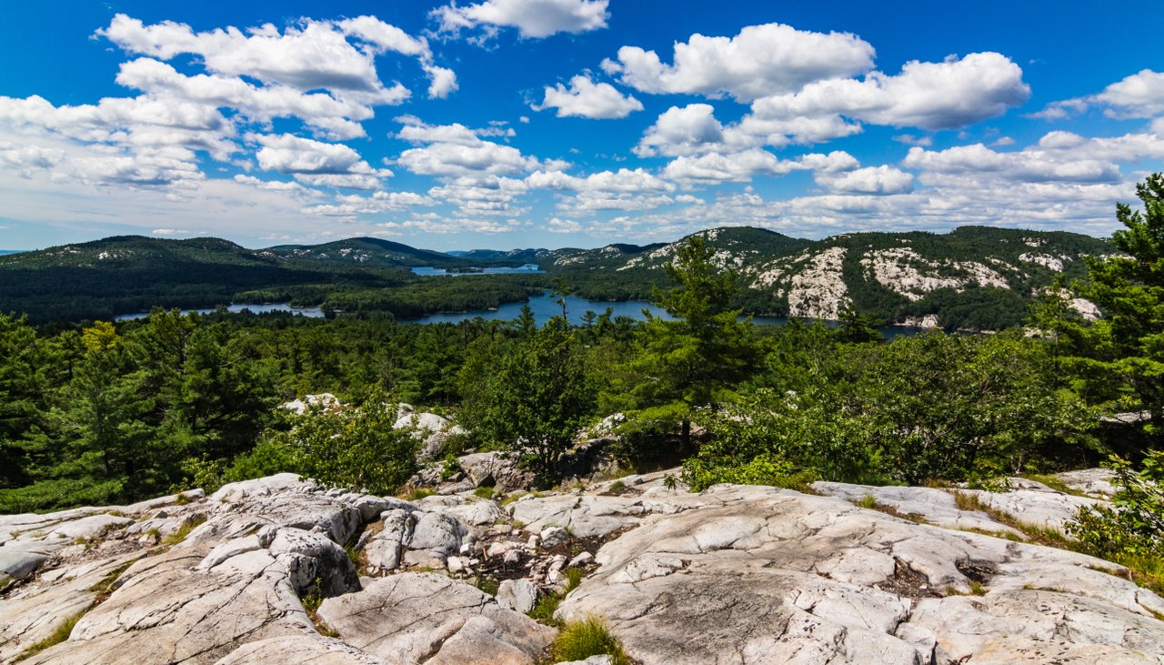 Exposed rock surrounded by forest and blue sky with fluffy clouds.