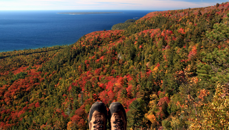 View of a forest in fall colour from a lookout point.