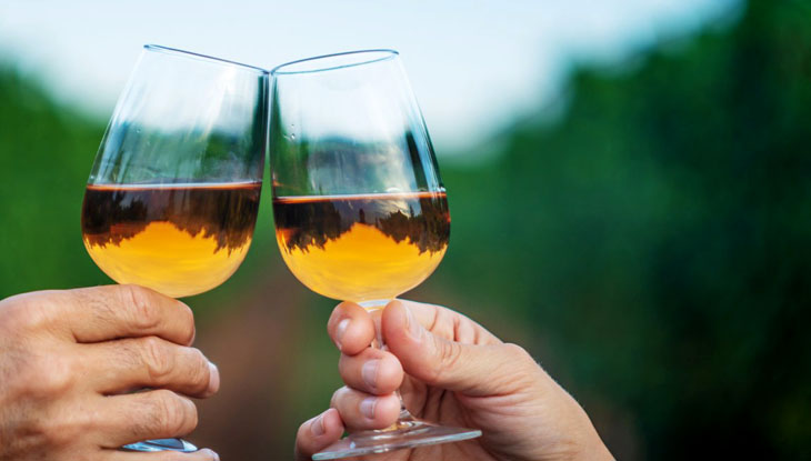 Two hands toasting two glasses of wine with vineyards in the background.