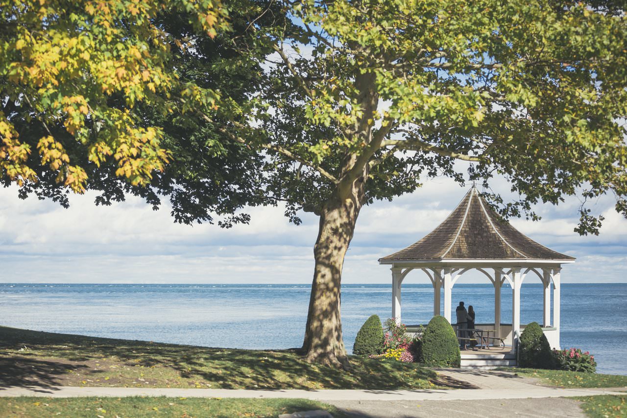 A large tree stands in front of a gazebo