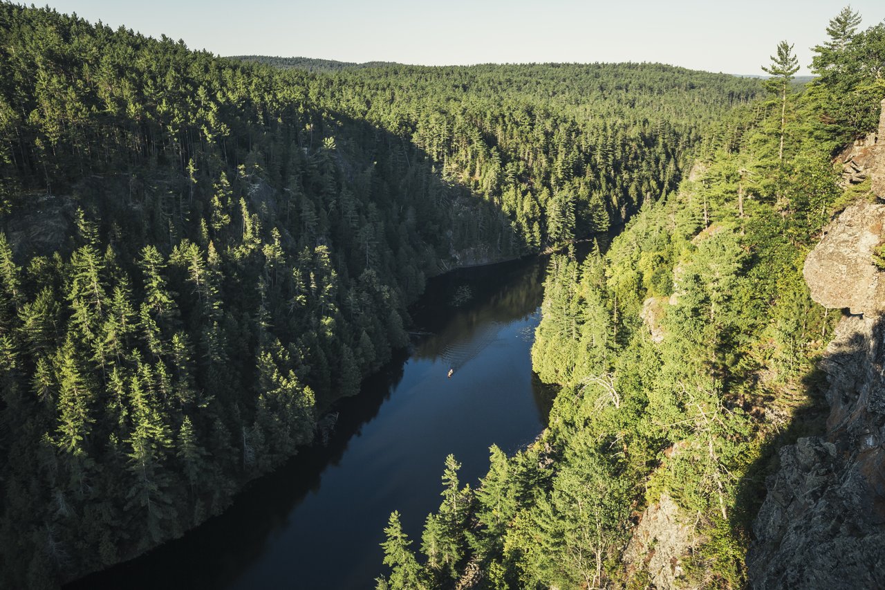 Birds eye view of a river cutting through a thick forest.