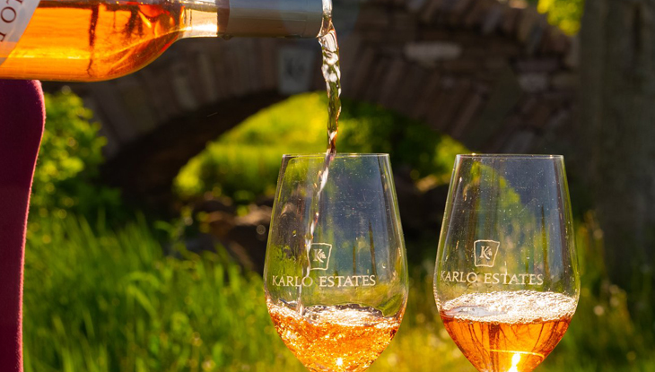 Une bouteille de vin versée dans deux verres à vin.