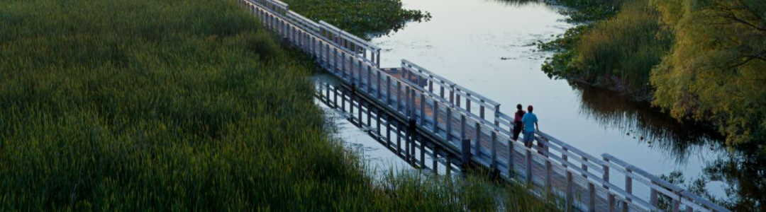 A man and woman walk on a boardwalk surrounded by water and tall grass