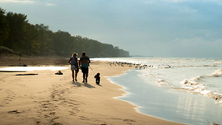 A man. woman and dog walking on the sand along the shoreline