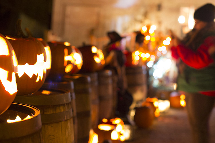 A person takes a photo of illuminated pumpkins at a Halloween event.