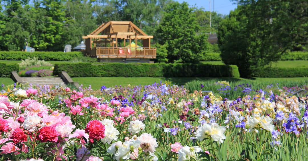 Une pergola surplombe des fleurs éclatantes dans les jardins luxuriants.