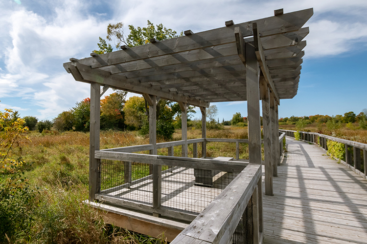 A wooden boardwalk with a lookout point and bench in a grassy field.