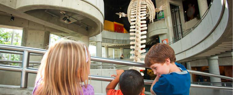 3 kids admiring dinosaur skeletal fossils.