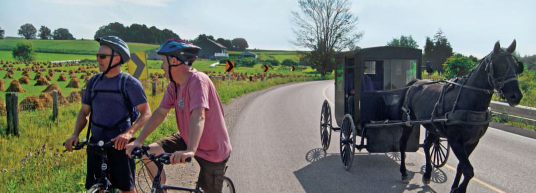 A Mennonite man drives his horse and buggy down a country road as two men on bikes stopping on the side of the road admiring the landscape