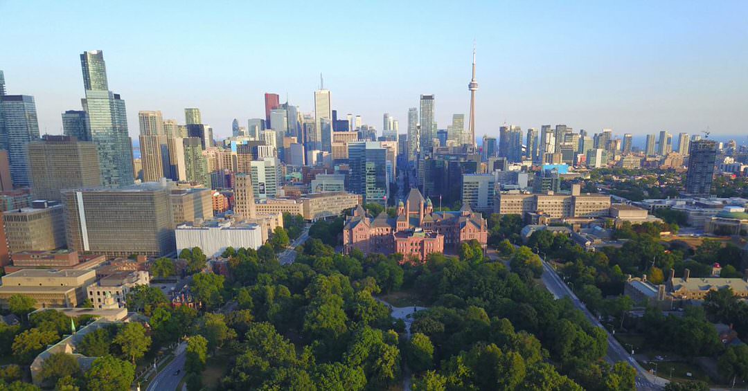 Arbres entourant Queen’s Park avec de hauts édifices en arrière-plan, dont la Tour CN.