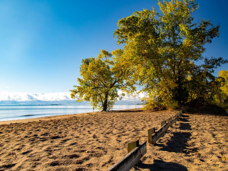 La chaude plage sablonneuse de Turkey Point sous quelques arbres et devant les eaux claires du lac Érié.