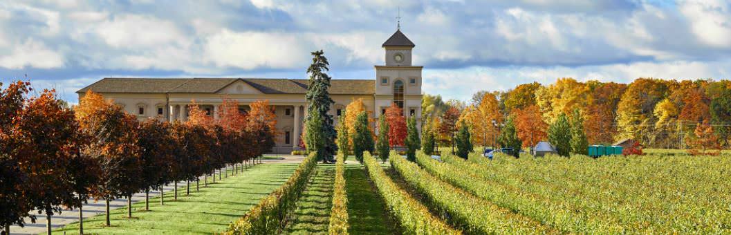 Tree lined next to a vineyard and behind the nature is a majestic building