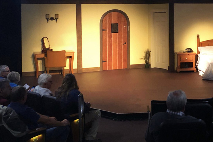 Un public qui assiste à une pièce en direct dans une salle de théâtre.