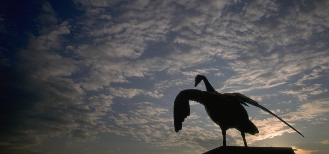 A silhouette of the goose statue against a dusk cloudy sky